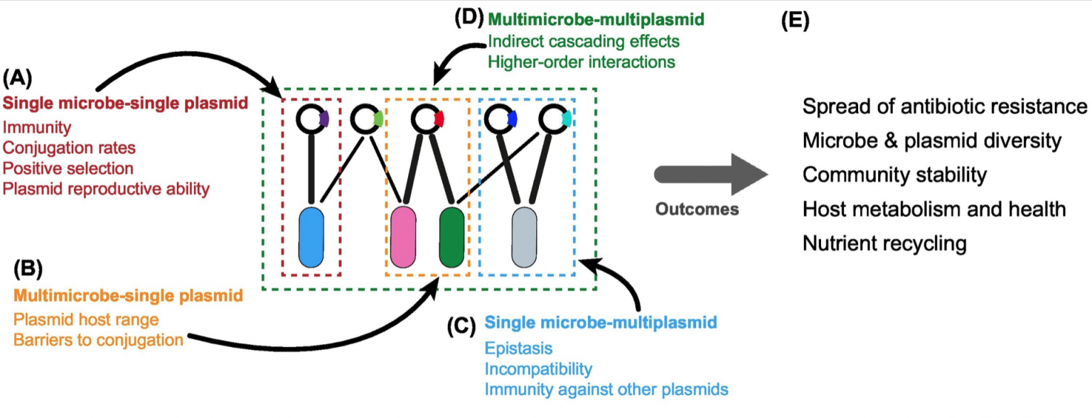 Conceptualizing microbe–plasmid communities as complex adaptive systems