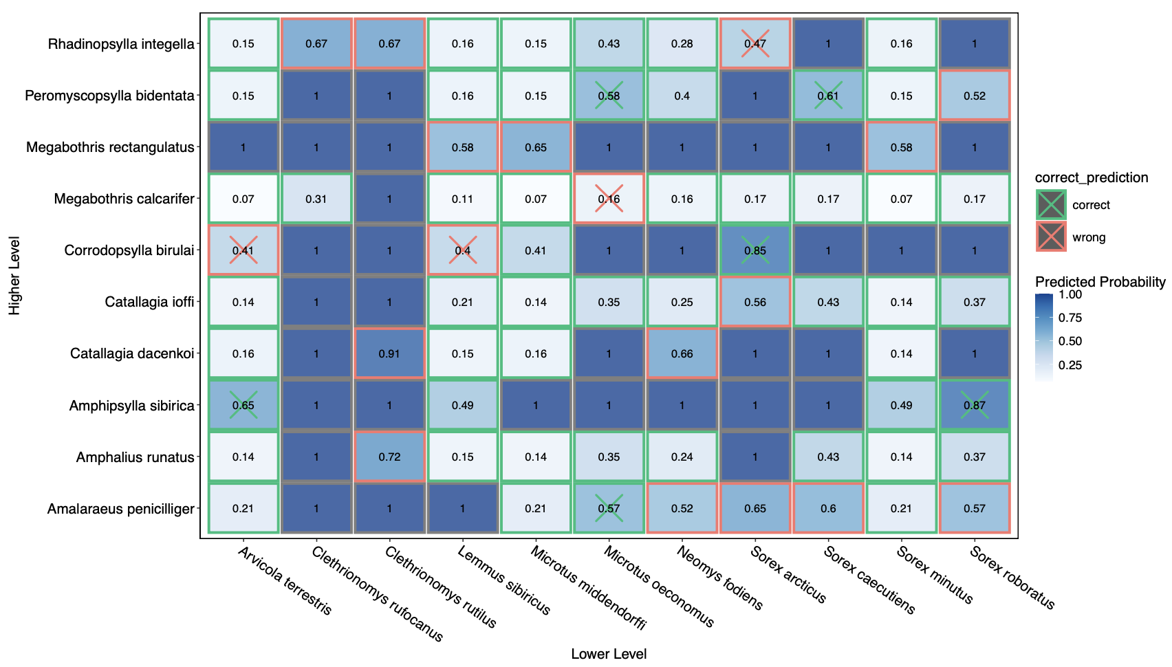 Inductive link prediction boosts data availability and enables cross-community link prediction in ecological networks