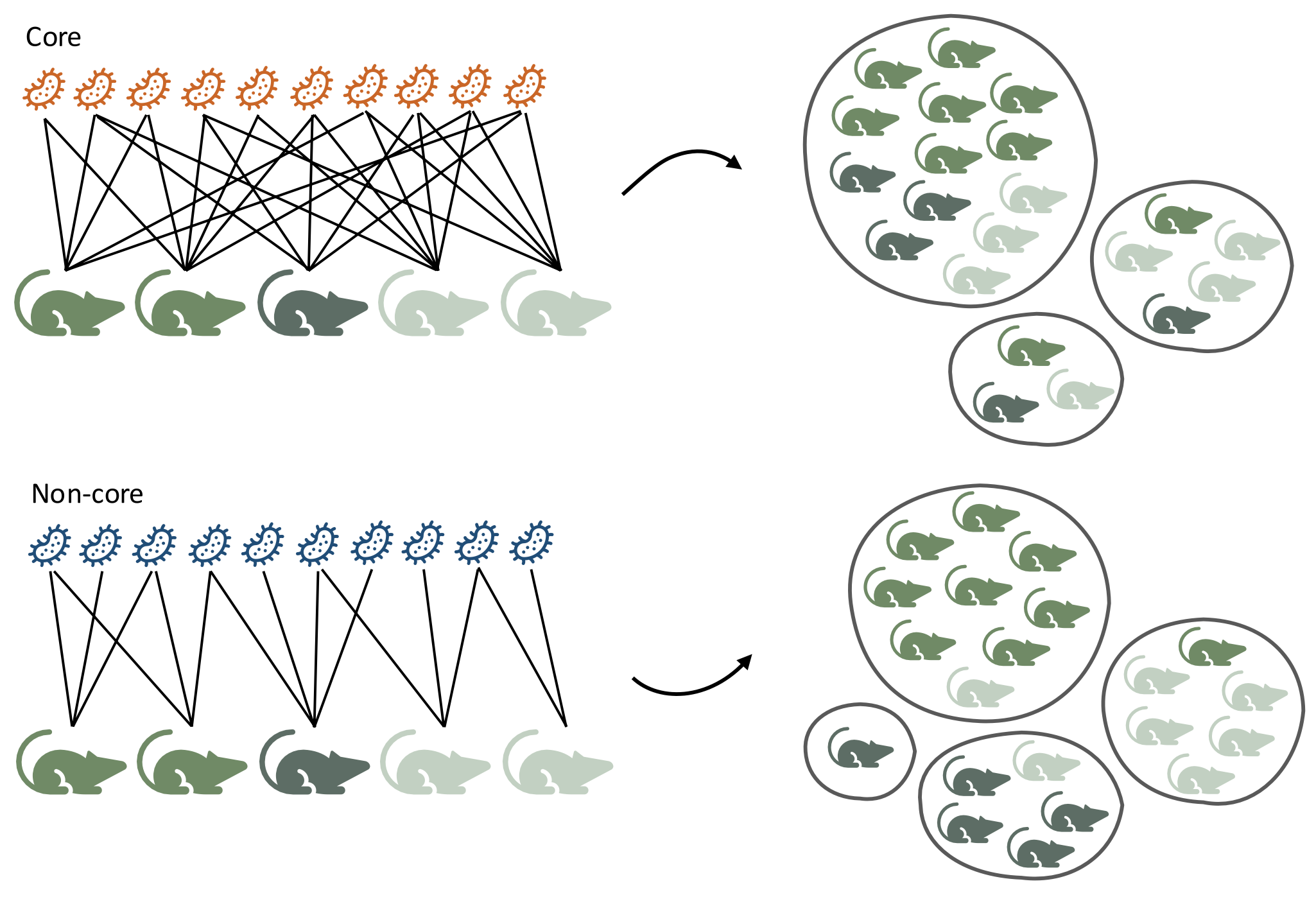 Differential assembly of core and non-core host-microbe network structures along a land-use change gradient