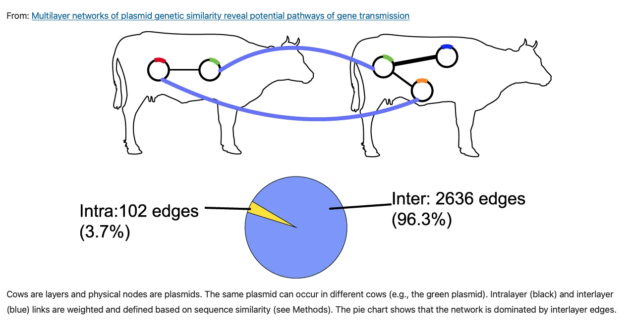 Multilayer networks of plasmid genetic similarity reveal potential pathways of gene transmission