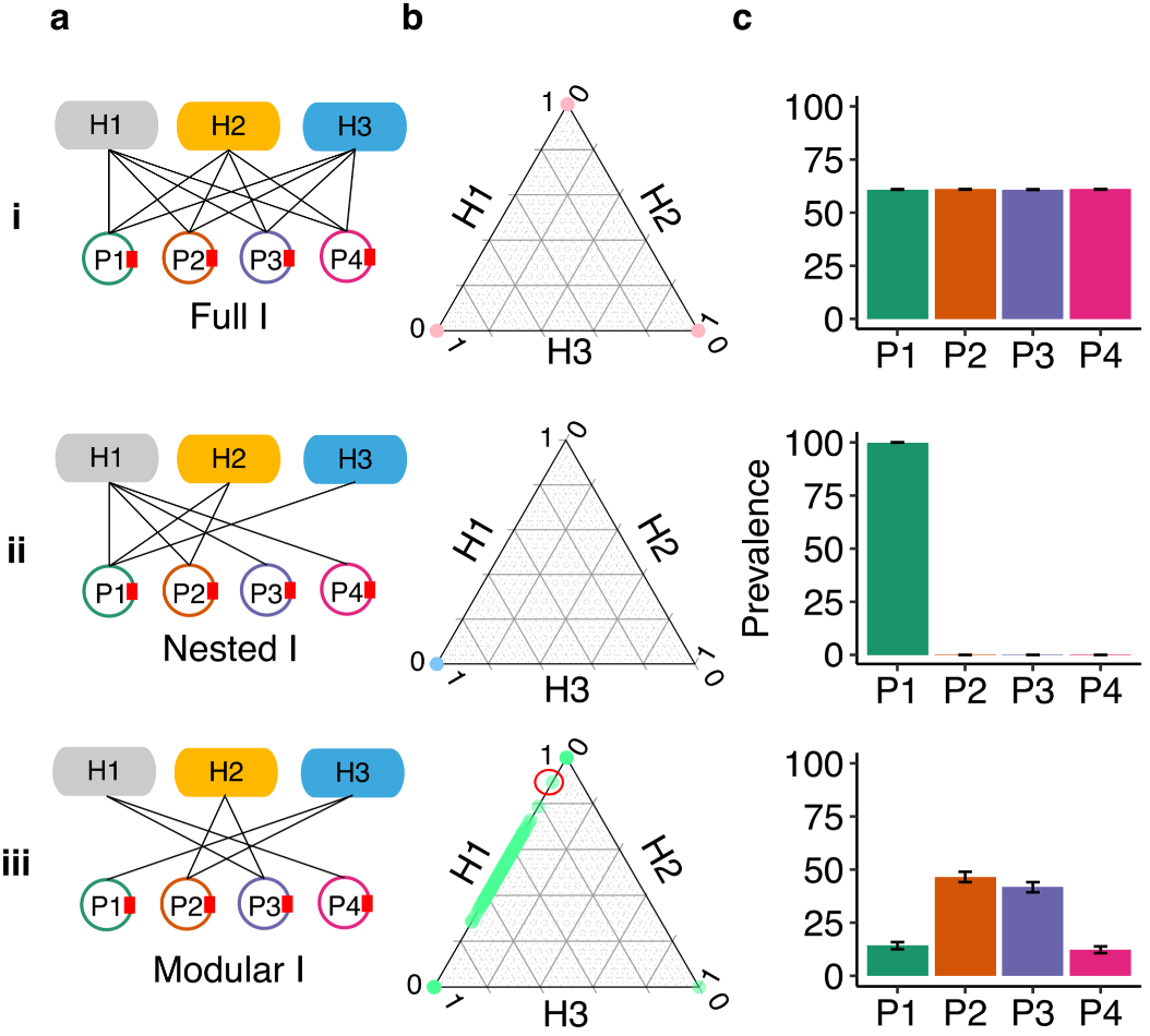 The interplay between ecological networks drives host-plasmid community dynamics