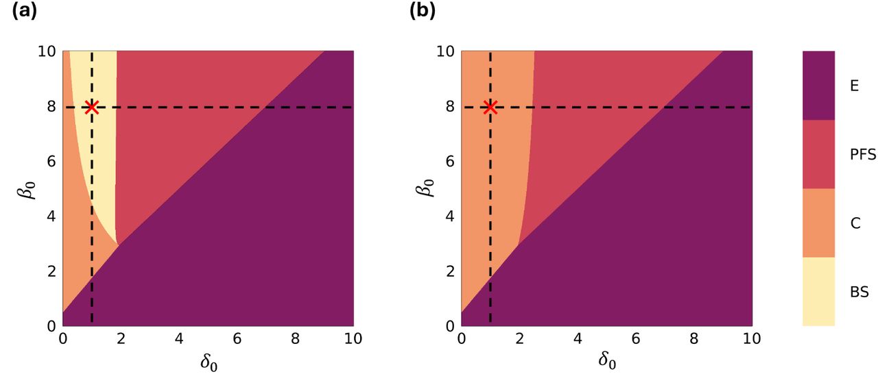 The structure of pairwise competition is responsible for sudden regime shifts in a microbe-plasmid model
