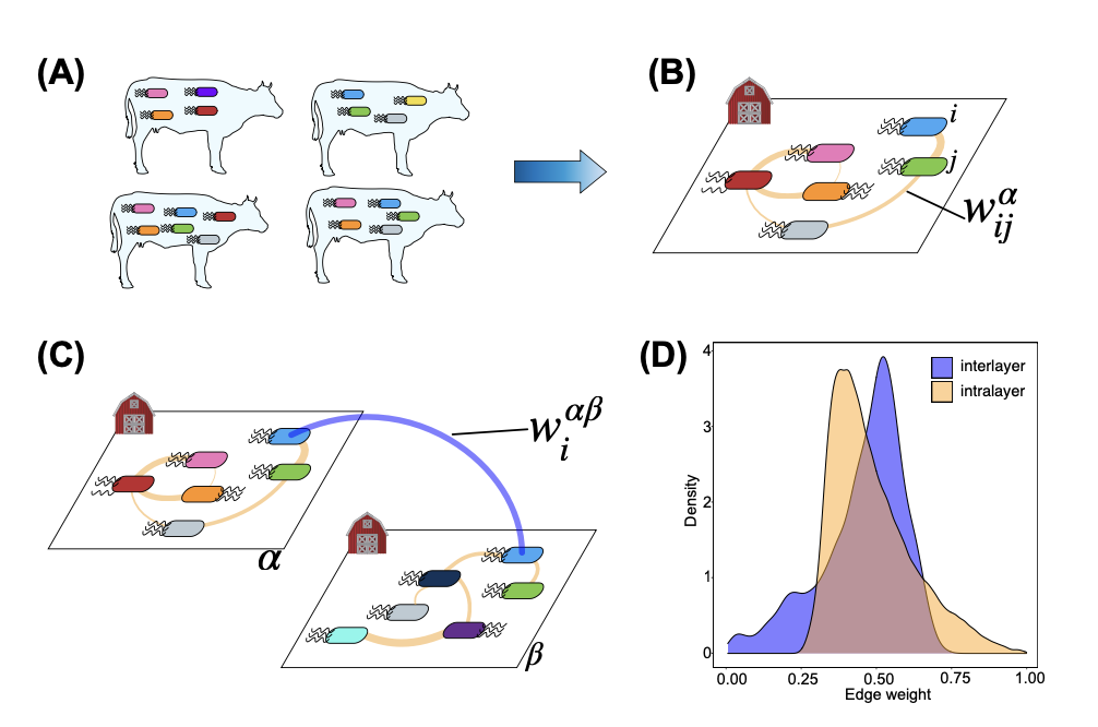Scale-dependent signatures of microbial co-occurrence revealed via multilayer network analysis