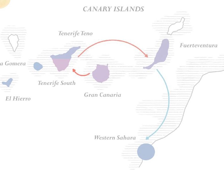Structure knows best: predicting ecological interactions across space through pairwise integration of latent network patterns